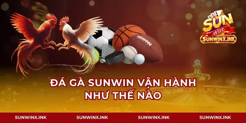 Đá gà Sunwin vận hành như thế nào