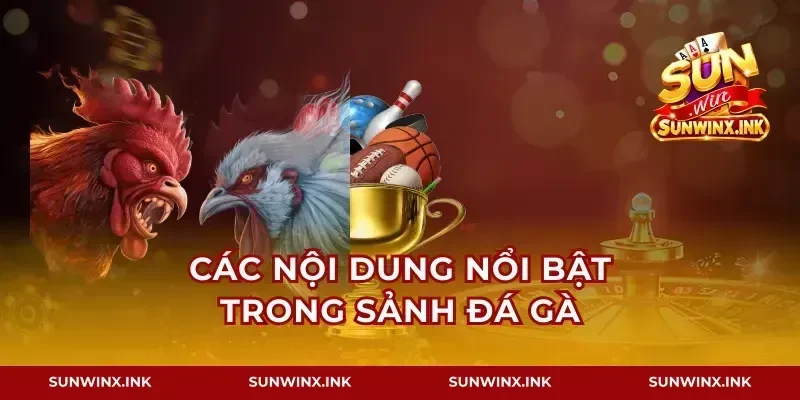 Các nội dung nổi bật trong sảnh đá gà